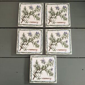 Jeffrey Court Rosemary Botanical Ceramic Tile Coasters Cork Back Set of 5 White